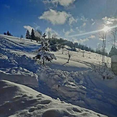 Domek Kojsowka Witów Exteriér fotografie