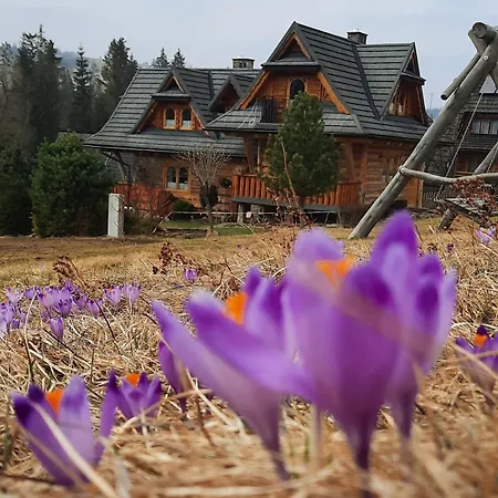 Domek Kojsowka Witów Exteriér fotografie