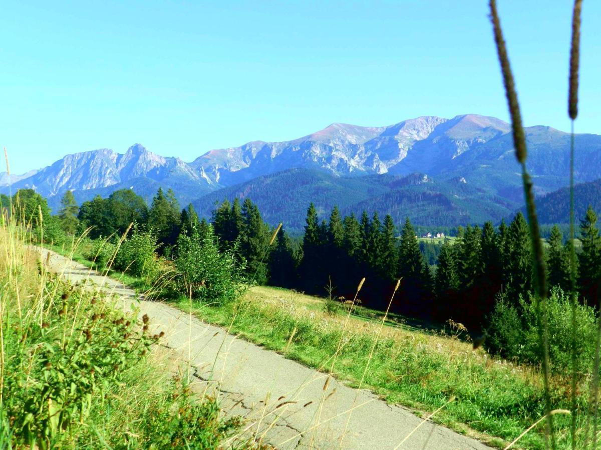 Kojsowka Chalet *