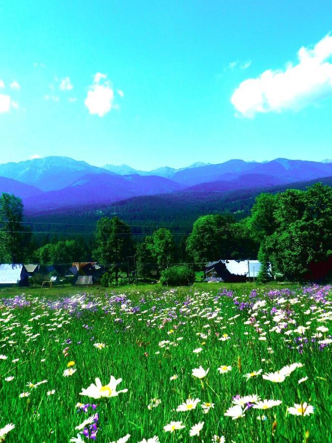 Kojsowka Chalet *