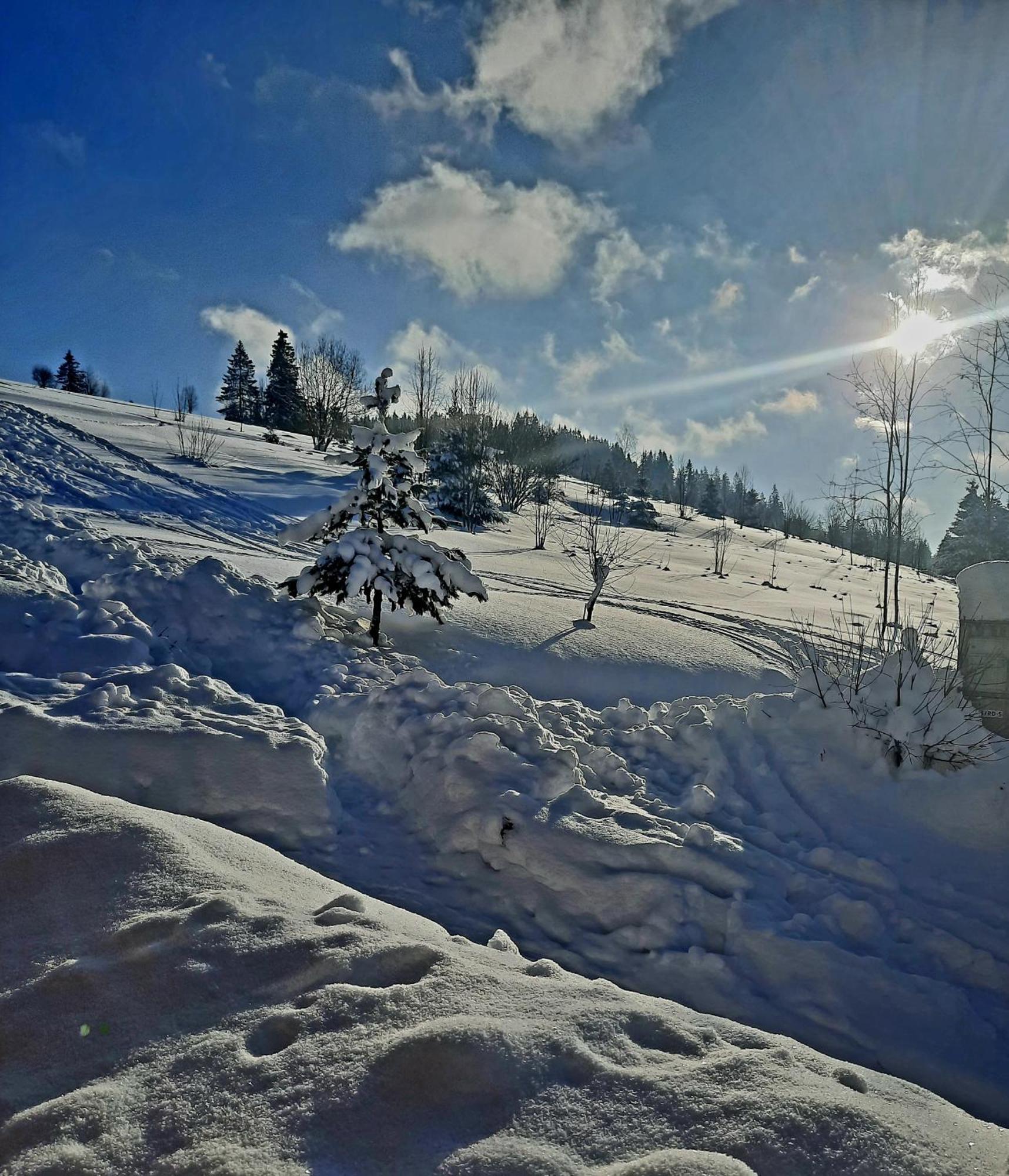 Kojsowka * Witów