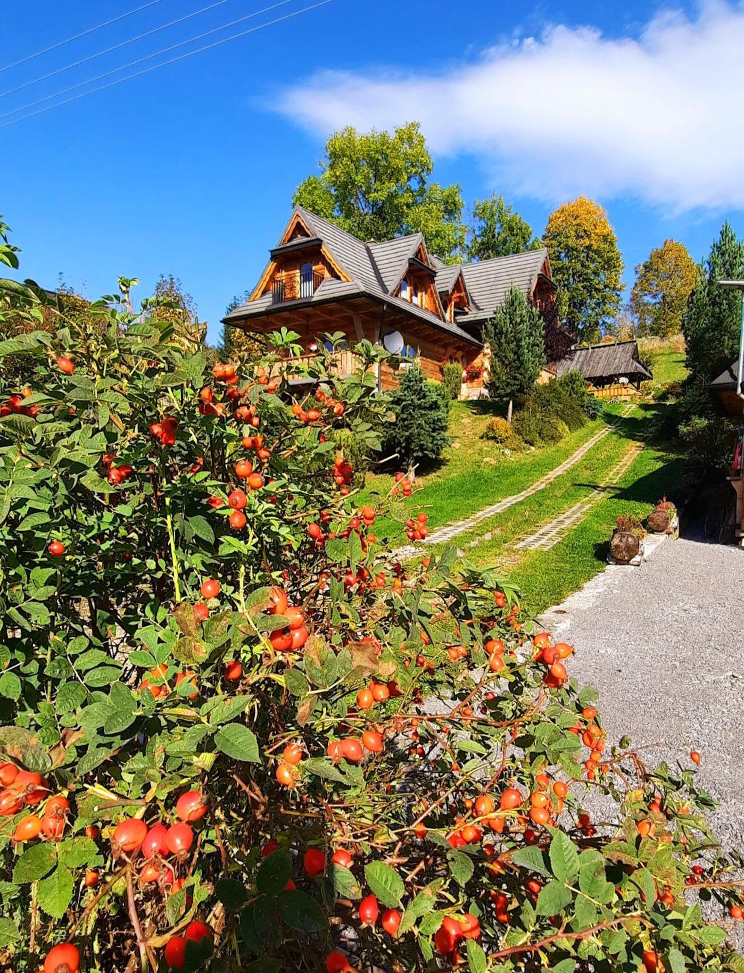 Kojsowka Chalet *