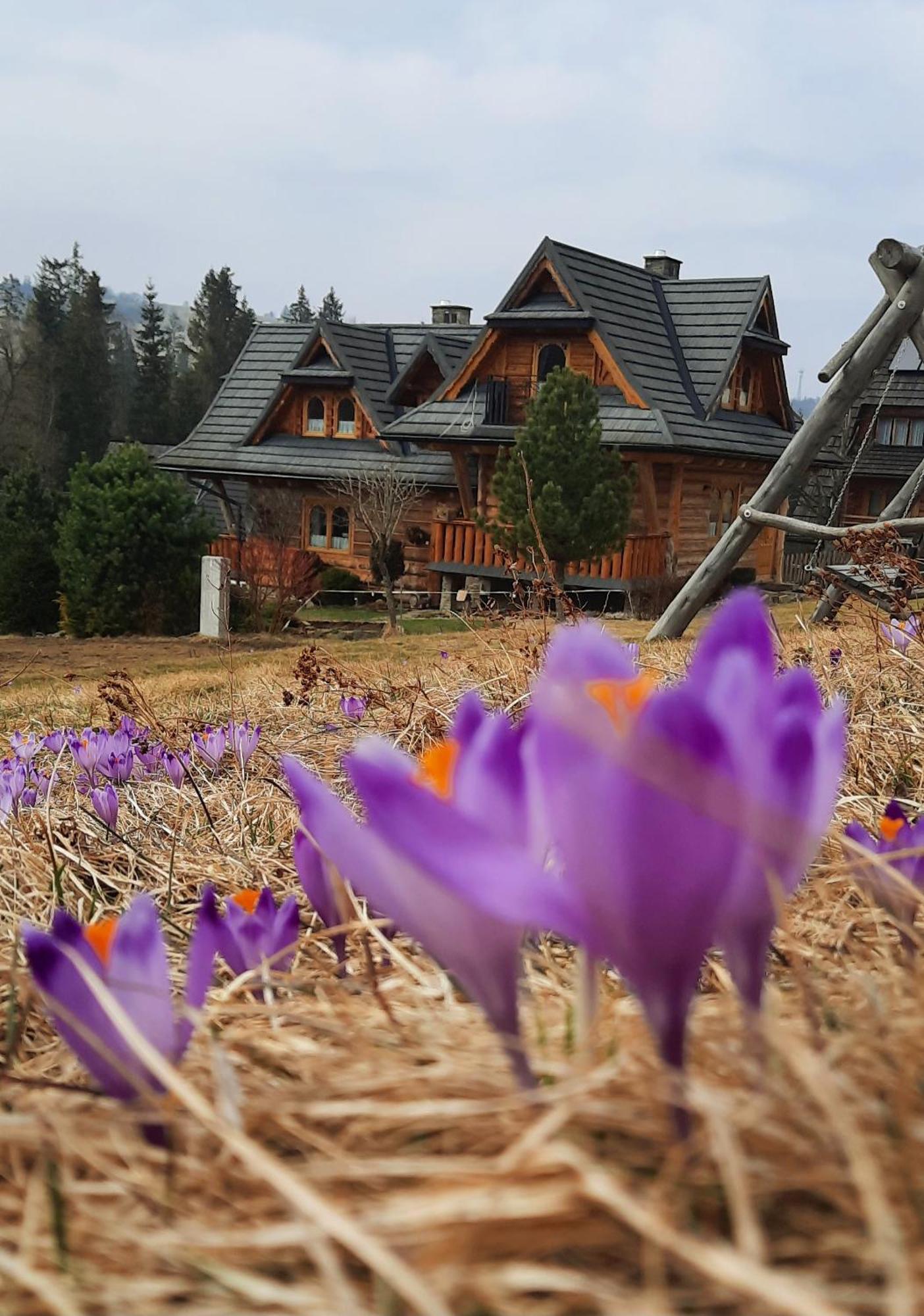 Chalet Kojsowka Witow (Tatra)